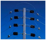 Cercas Elétricas no Centro de Florianópolis